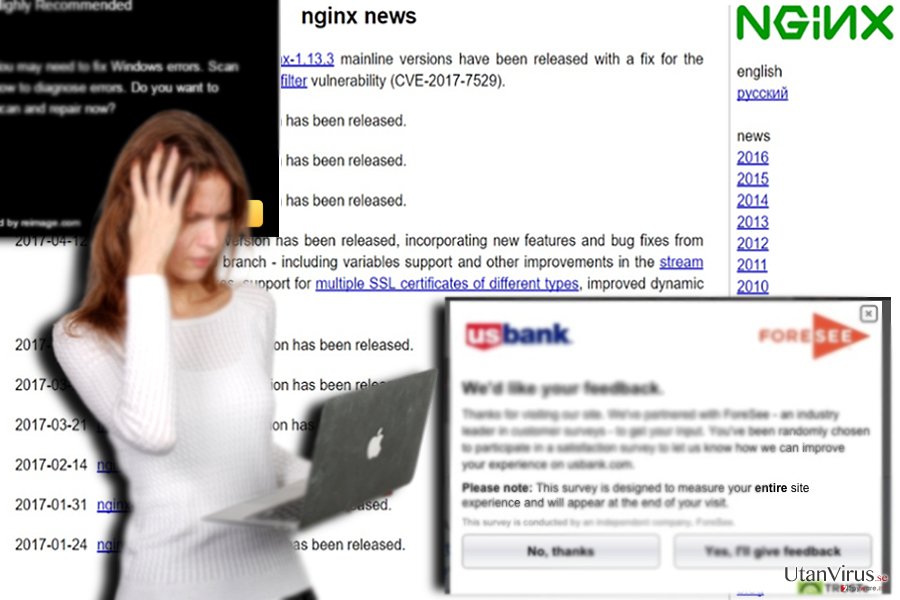 Bildexempel på virusets partnersida – nginx.org