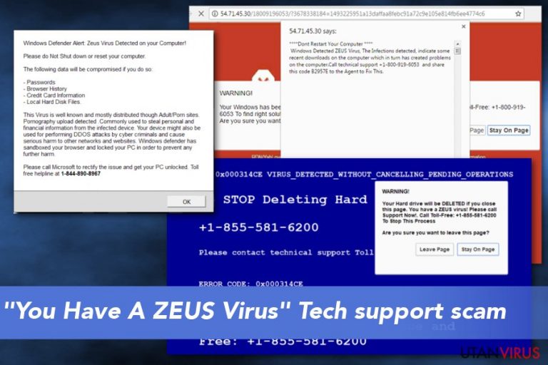 ”You Have A ZEUS Virus” Tech support scam